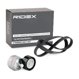 542R0295 RIDEX