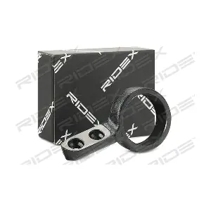 251T0174 RIDEX