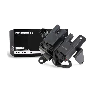 689C0086 RIDEX