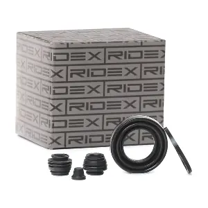 RIDEX 405R0069