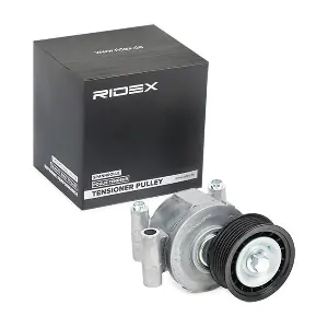 RIDEX 310T0118