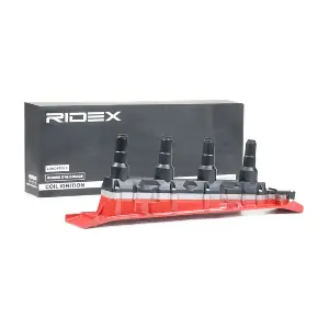 RIDEX 689C0102
