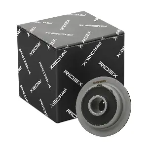 RIDEX 251T0329