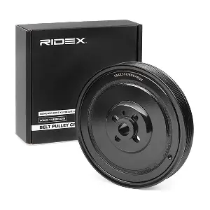 RIDEX 3213B0005