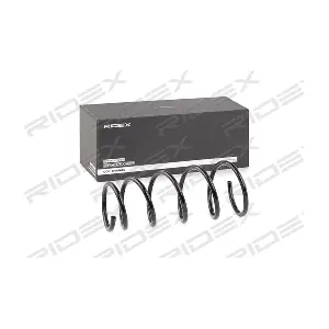 188C0585 RIDEX