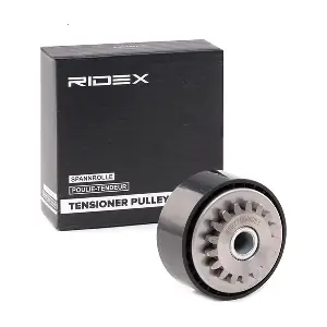 RIDEX 310T0099