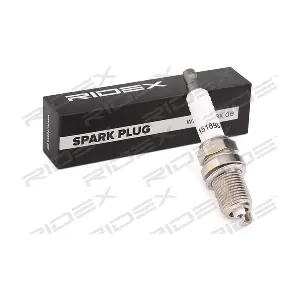 RIDEX 686S0098
