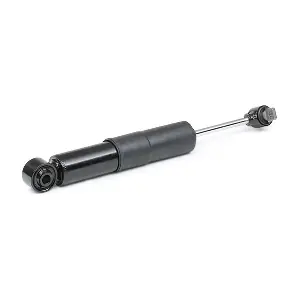 854S1729 RIDEX