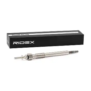 RIDEX 243G0038