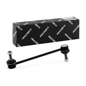 RIDEX 3229S0065