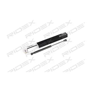 219G0247 RIDEX