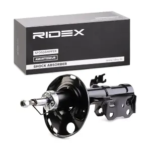 854S1900 RIDEX