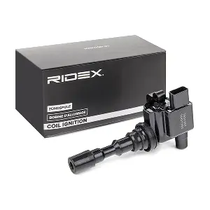 689C0356 RIDEX