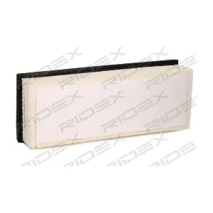 4055F0206 RIDEX