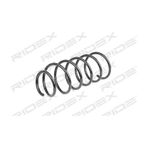 188C0169 RIDEX