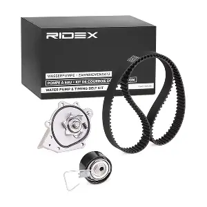 3096W0098 RIDEX