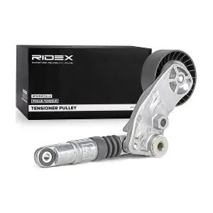 541V0034 RIDEX