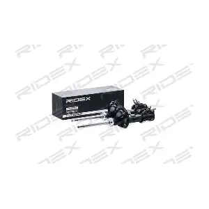 854S2071 RIDEX