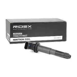 689C0224 RIDEX