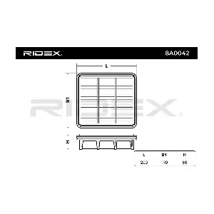 RIDEX 8A0042