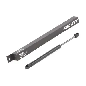 219G0895 RIDEX