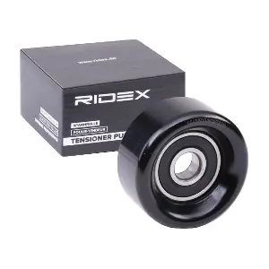 312D0074 RIDEX
