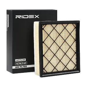RIDEX 8A0254