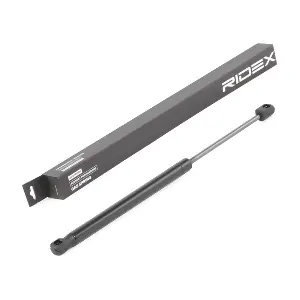 219G0892 RIDEX
