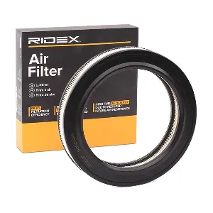 RIDEX 8A0316