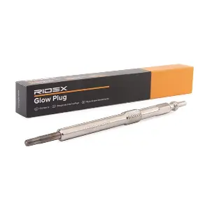 243G0120 RIDEX