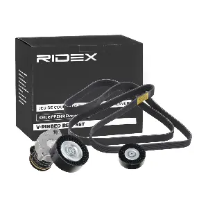 542R0143 RIDEX