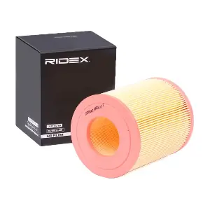 RIDEX 8A0094