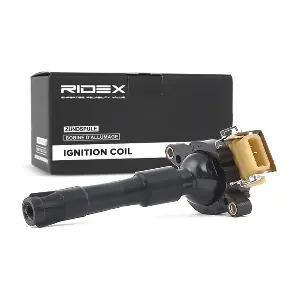 RIDEX 689C0010