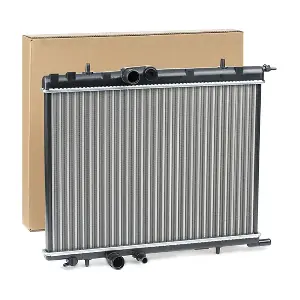 RIDEX 470R0598