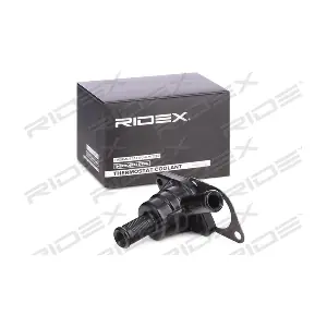 316T0238 RIDEX
