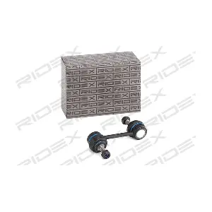 RIDEX 3229S0481
