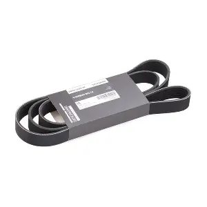 305P0408 RIDEX