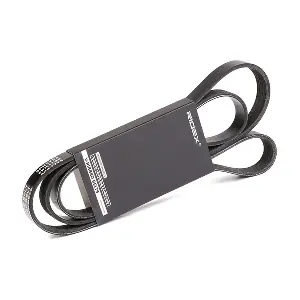 RIDEX 305P0171