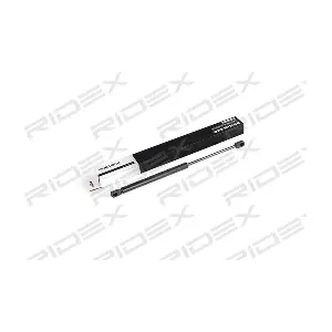 219G0382 RIDEX