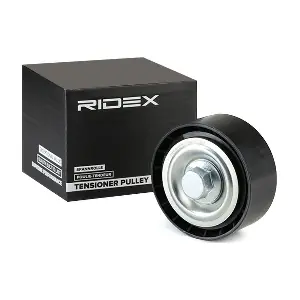 310T0139 RIDEX