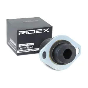 RIDEX 247E0066