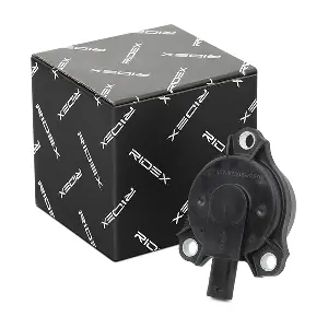 4229C0003 RIDEX