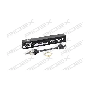 RIDEX 13D0217