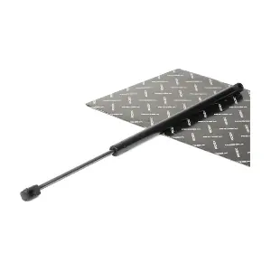 219G0484 RIDEX
