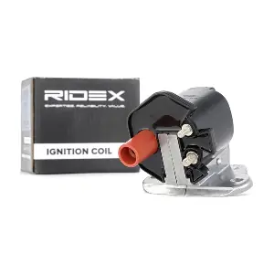 689C0243 RIDEX
