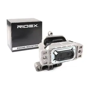 247E0613 RIDEX