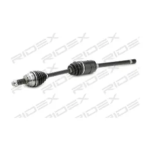 13D0483 RIDEX