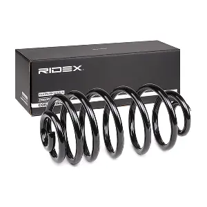 188C0674 RIDEX