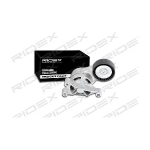 541V0011 RIDEX