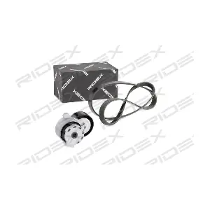 542R0011 RIDEX